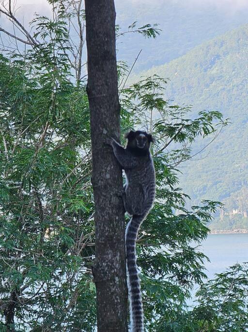 Nosso Mar 호텔 Florianópolis 외부 사진